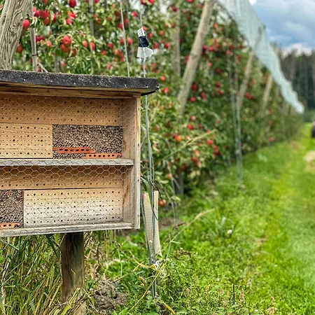 Hébergement de vacances Schnyder Ranch