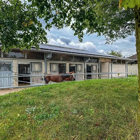 Schnyder Ranch Vakantiehuis *