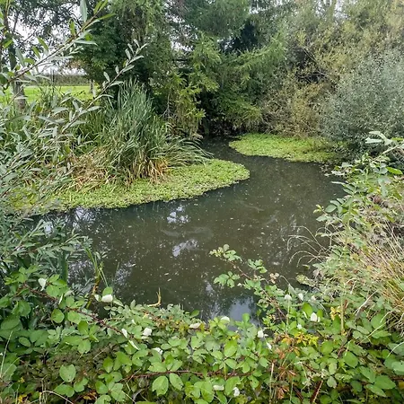 Semesterbostad Schnyder Ranch Ravensburg