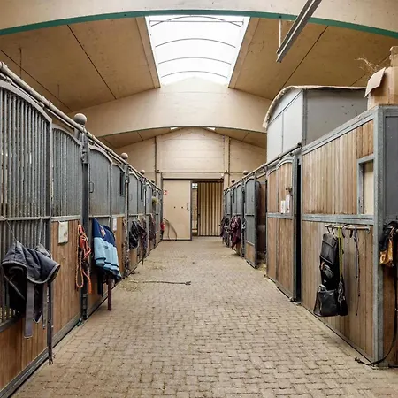 Feriehus Schnyder Ranch Ravensburg