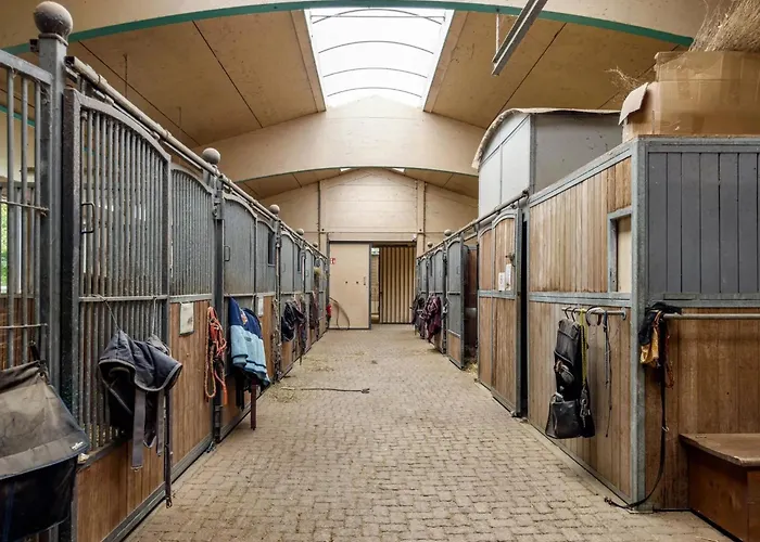 Schnyder Ranch Ravensburg