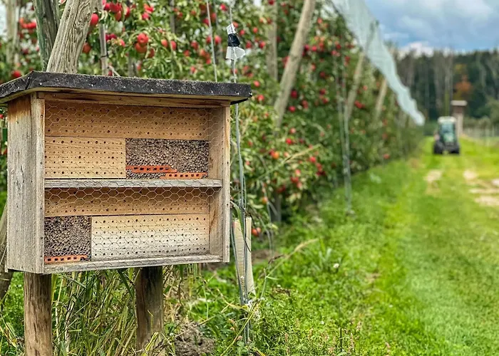 Casa vacanze Schnyder Ranch Ravensburg
