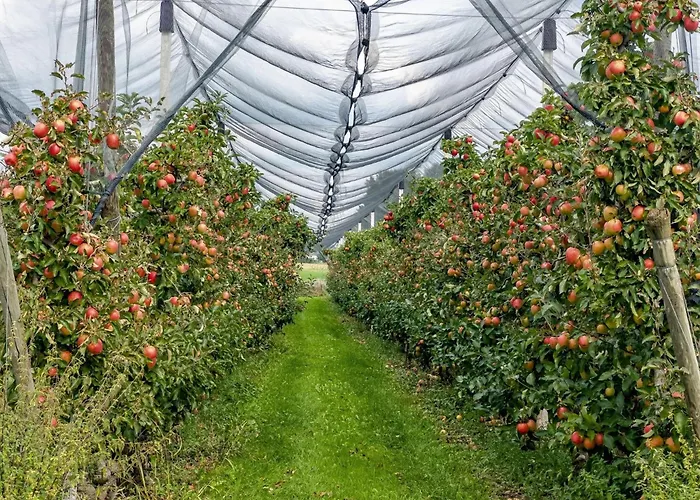 Casa vacanze Schnyder Ranch Ravensburg